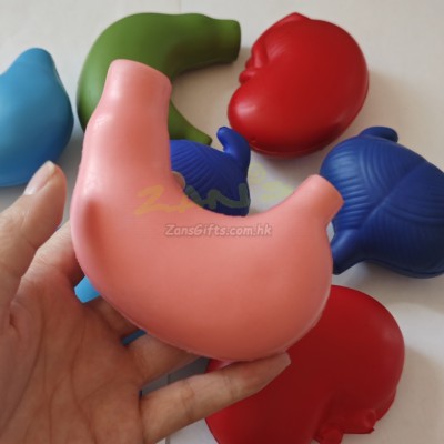 胃肝臟膀胱腎臟器官壓力球捏捏樂 胃肝臟膀胱腎臟器官壓力球捏捏樂