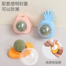 Catnip Rotating Ball Catnip Rotating Ball