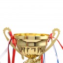 Trophy Cup