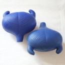 胃肝臟膀胱腎臟器官壓力球捏捏樂 胃肝臟膀胱腎臟器官壓力球捏捏樂