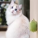 Pet toy ball for teeth grinding and itch rubbing