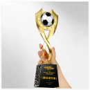 Football Metal Trophy Football Metal Trophy