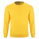 Round Neck Sweatshirt