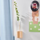 Magnetic refrigerator magnet hydroponic small vase