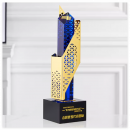 Hollowed-Out Irregular Metal Trophy