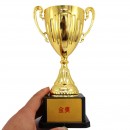 Trophy Cup