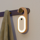 Human body sensing message light