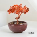 盆景水晶树
