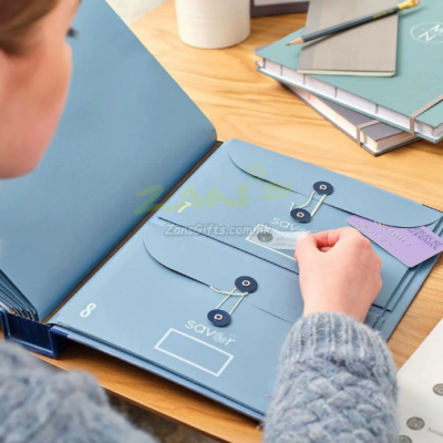 Organizer for accordion folders