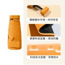 Pocket Umbrella