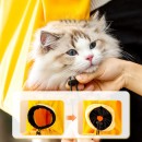 Pet Package