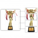 Trophy Cup