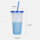 感溫變色吸管杯