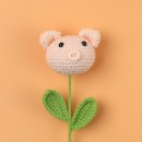 Graduates Knitting Doll Bouquets