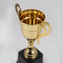 Trophy Cup