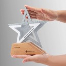 Solid Wood Metal Award