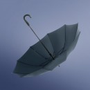 彎手柄天堂雨傘直傘