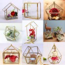 Geometric Glass Terrariums