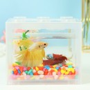 鬥魚積木魚缸 鬥魚積木魚缸
