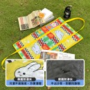 Multifunctional Tote Bag Picnic Mat