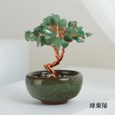 盆景水晶树