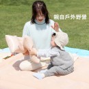 Outdoor Inflatable Mat