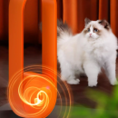 Pet Mosquito Repellent