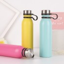 Stainless Steel Bottle