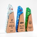 Environmental Protection Award