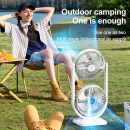 Double Head Desktop Fan