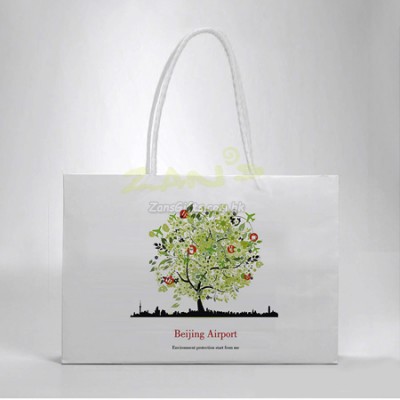 Color Printing Paper Bag