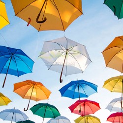 訂製雨傘及雨具 (172)