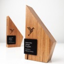 Creative Wood Trophy