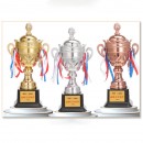 Trophy Cup