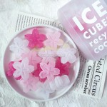 樱花冰模具