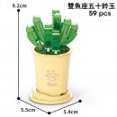 Coffee Cup Plant Series Building Blocks-12 Constellations Succulent Series Coffee Cup Plant Series Building Blocks-12 Constellations Succulent Series