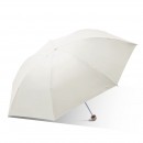 Folding Umbrella