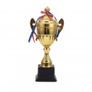 Trophy Cup