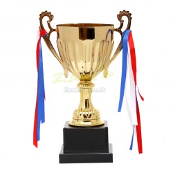 Trophy Award (121)