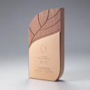 Metal Wood Trophy