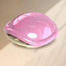 金钱龟减压玩具/挂件配铜钱