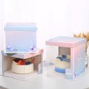 Fully transparent cake packaging box