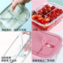 Glass Lunch Box