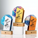 金屬水晶實木獎座