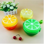 Fruit Lunchbox