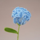 Bouquet of pipe cleaner carnations and tulips