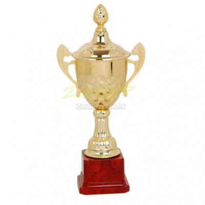 Trophy Cup