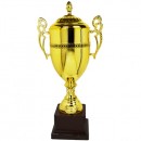 Trophy Cup