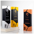 Metal Creative Trophy