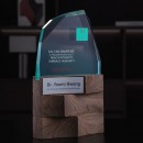 Solid Wood Crystal Trophy Solid Wood Crystal Trophy